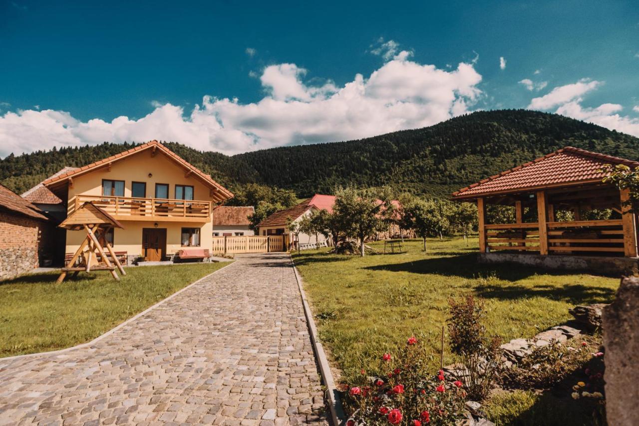 Casa Bunicilor Hotel Nucsoara  Buitenkant foto