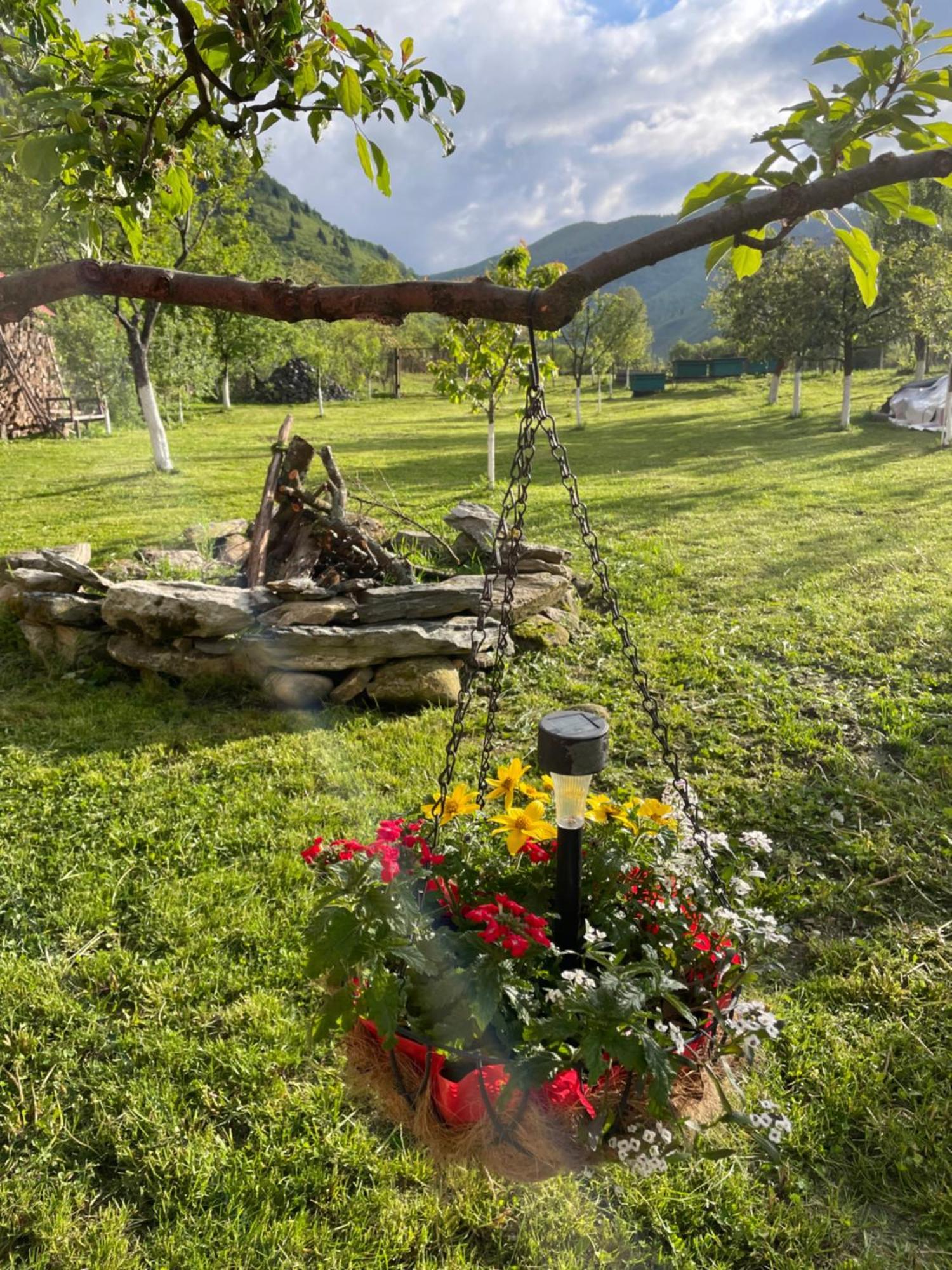 Casa Bunicilor Hotel Nucsoara  Buitenkant foto